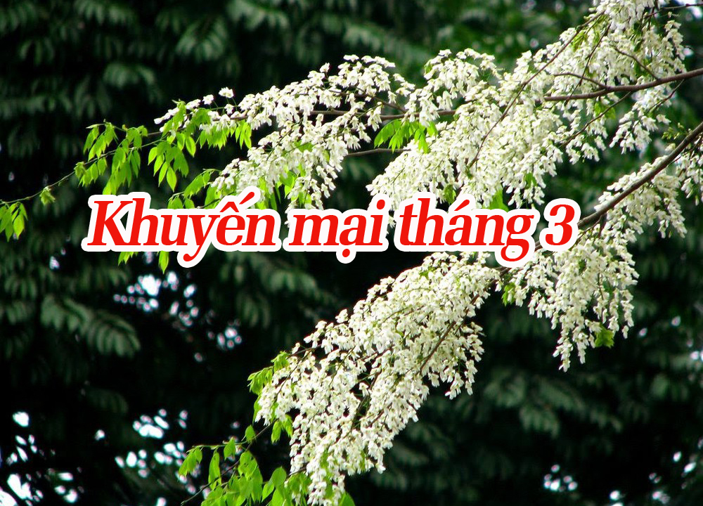 Khuyến mãi lắp mạng internet cáp quang và truyền hình VNPT tháng 12/2018